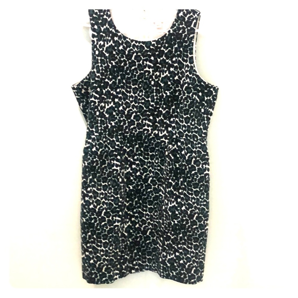 💫J. Crew leopard print dress! 🌟